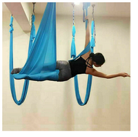 Yoga Hammock Indoor Sports Fitness