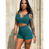 2 Piece Workout  Yoga Outfits Ribbed Sports Bra Gym Shorts