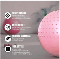 Fitness Ball Yoga Ball Pilates Workout