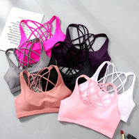 Women's Sports Bra - jtvunivmgmtllc.org