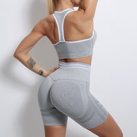 Women's Short Sets Seamless Gym Suits